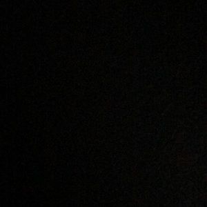 Meet your Posher, Shanell